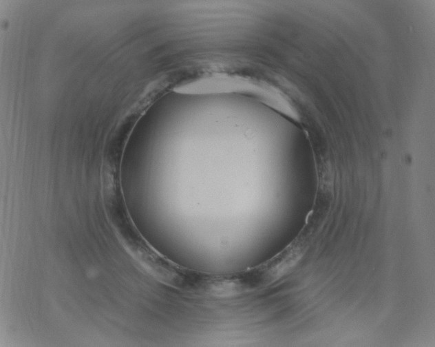 X0000070430456200606231922