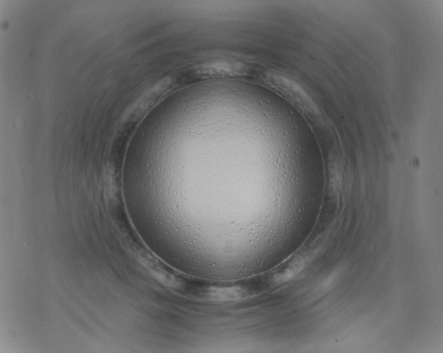 X0000070430457200606231922