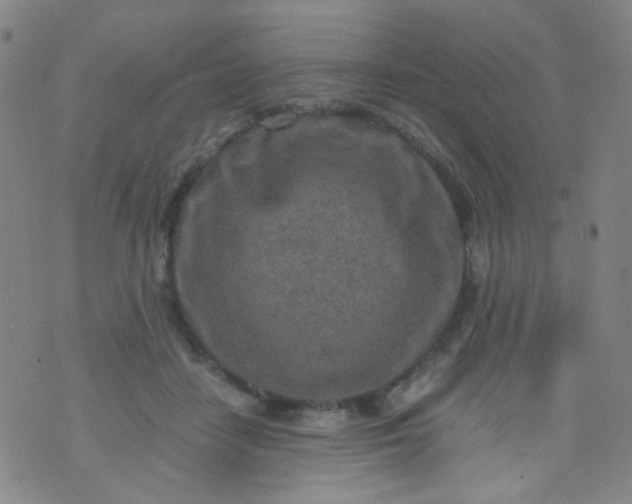 X0000070430458200606231922