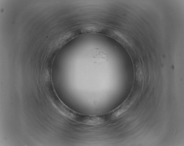 X0000070430459200606231922