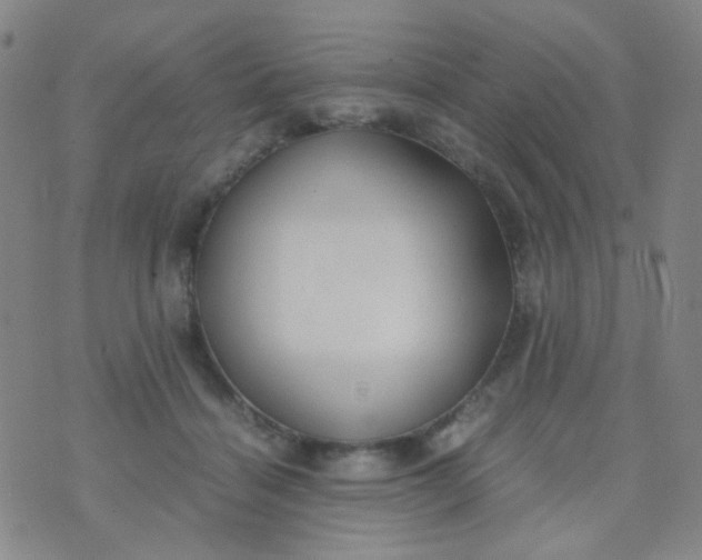 X0000070430460200606231922