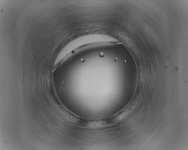 X0000070430461200606231922