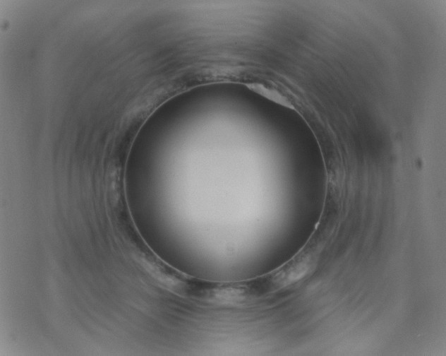 X0000070430462200606231922