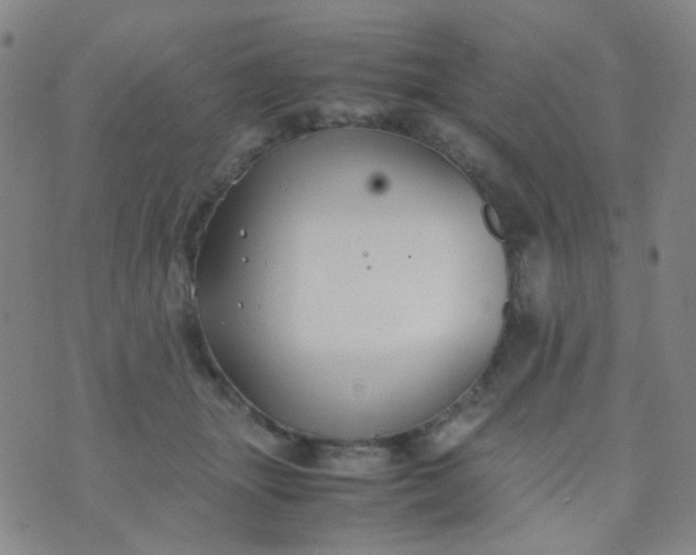 X0000070430463200606231922