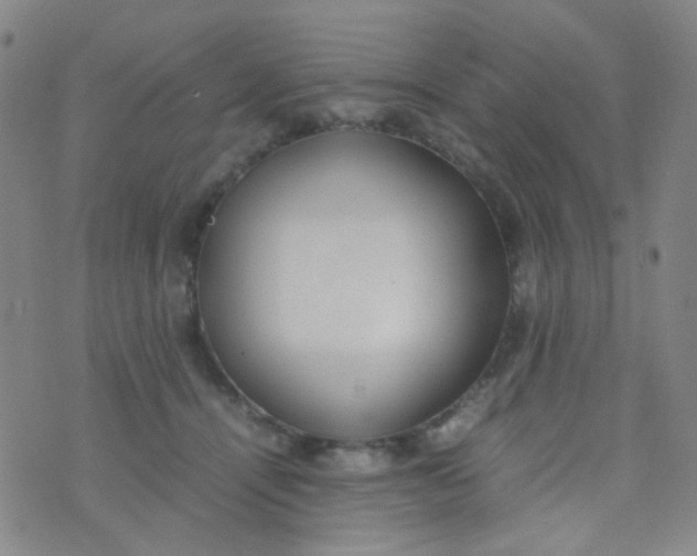 X0000070430464200606231922