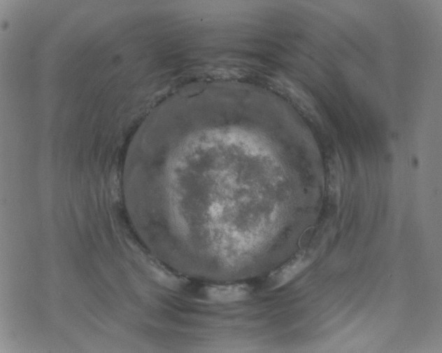 X0000070430465200606231922