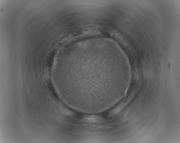 X0000070430467200606231922