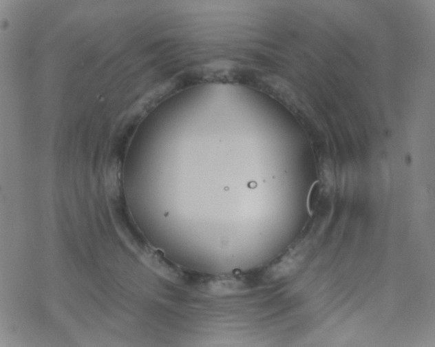 X0000070430468200606231922