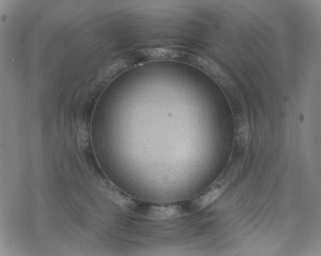 X0000070430469200606231922