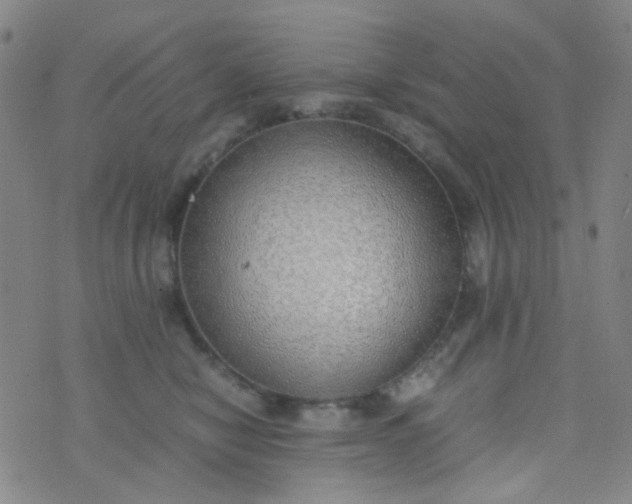 X0000070430470200606231922