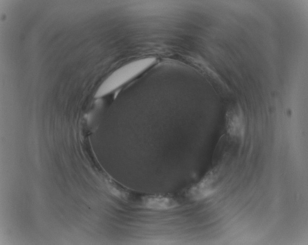 X0000070430471200606231922