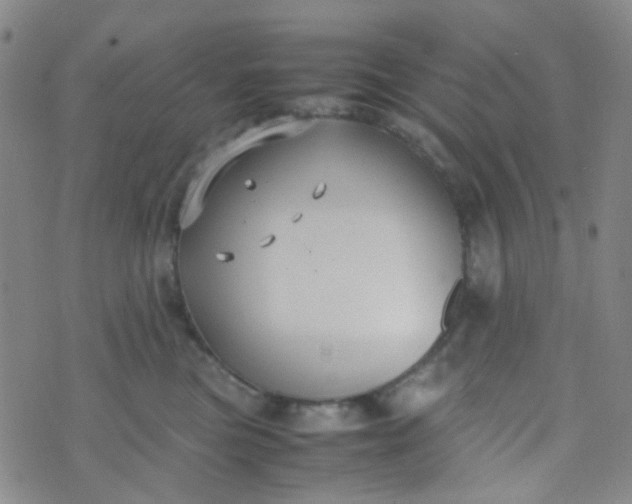 X0000070430473200606231922