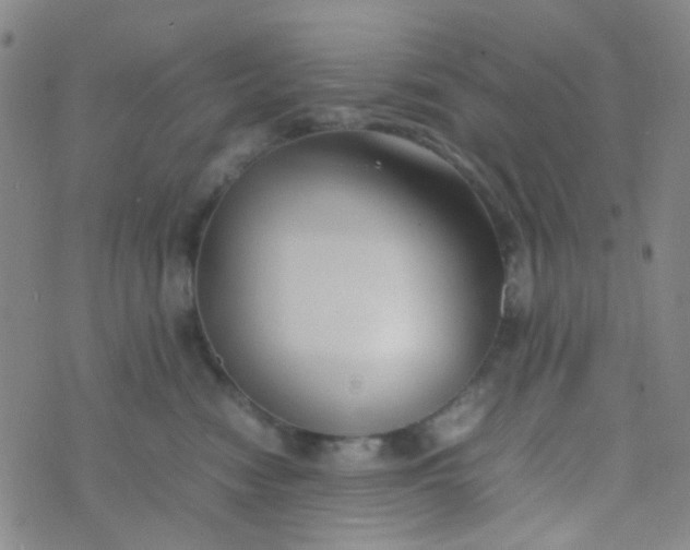 X0000070430474200606231922