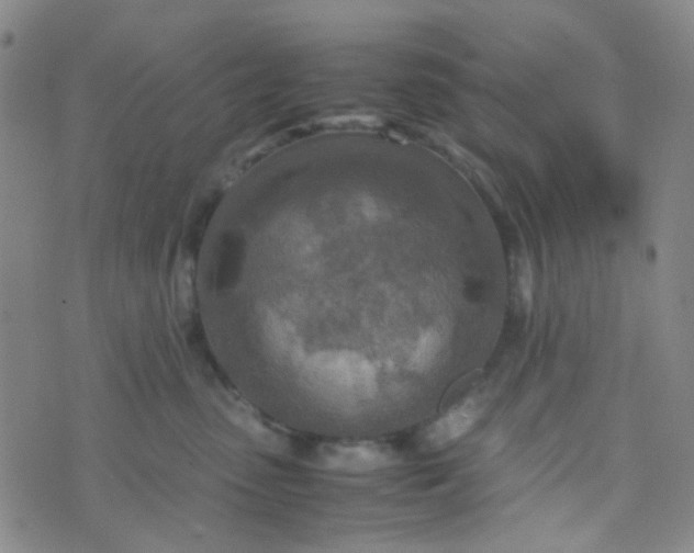 X0000070430475200606231922