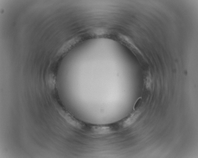 X0000070430476200606231922