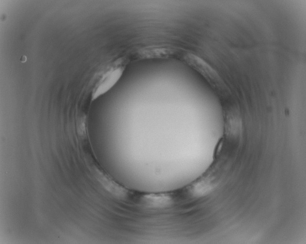 X0000070430477200606231922