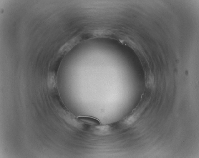 X0000070430478200606231922