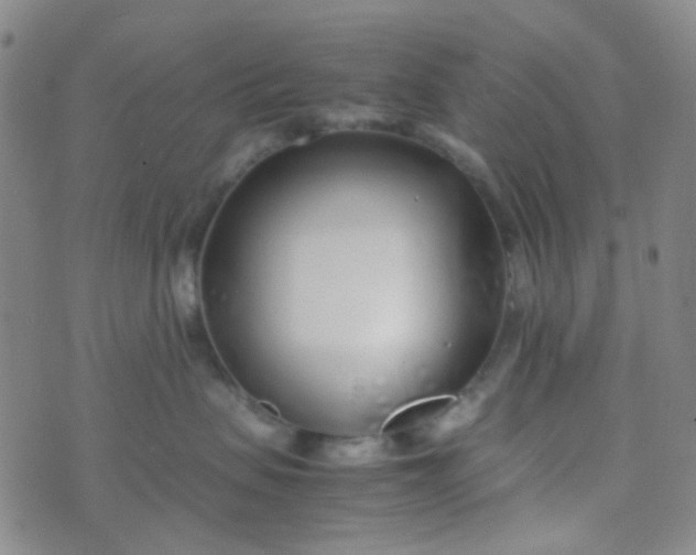 X0000070430479200606231922