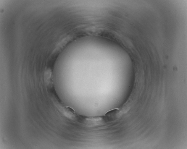 X0000070430480200606231922