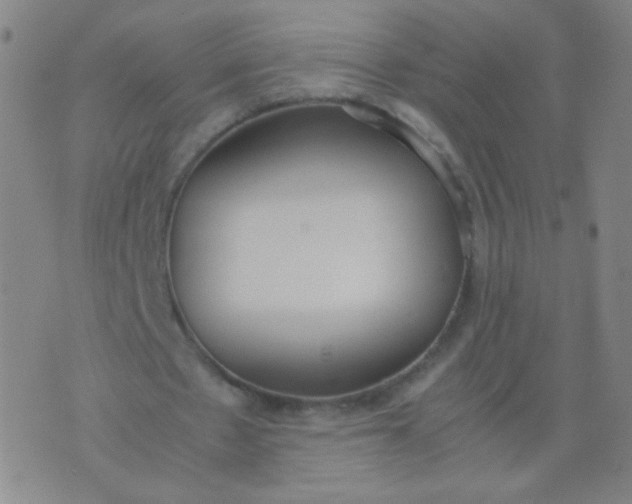 X0000070430481200606231922