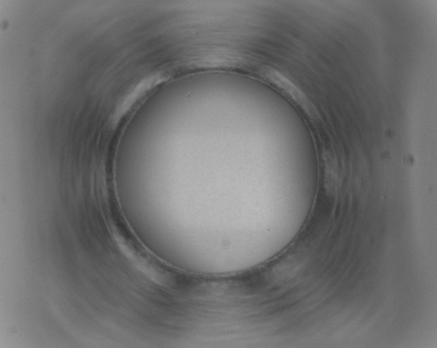 X0000070430482200606231922