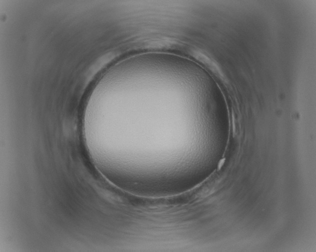 X0000070430483200606231922