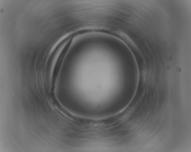 X0000070430484200606231922