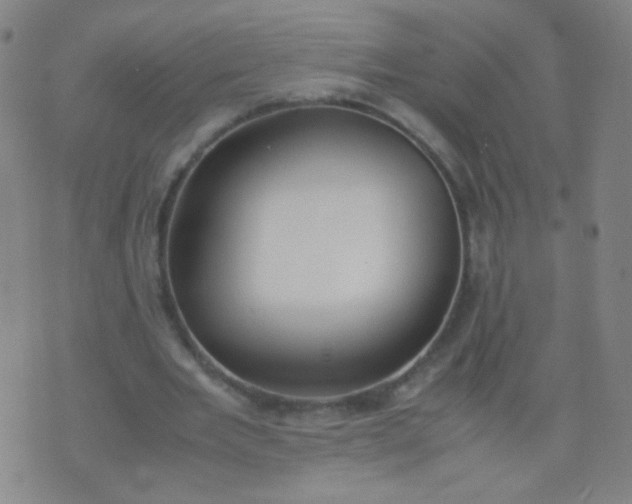 X0000070430485200606231922