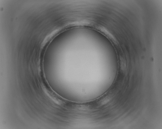 X0000070430486200606231922