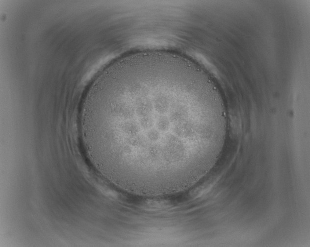 X0000070430487200606231922