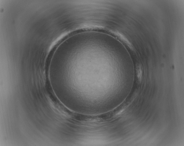 X0000070430488200606231922