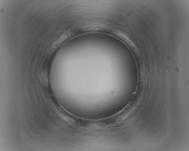 X0000070430489200606231922