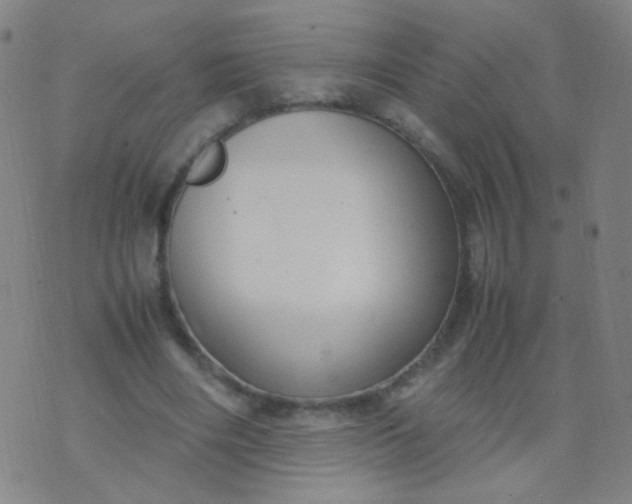 X0000070430490200606231922