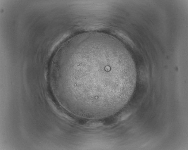 X0000070430491200606231922