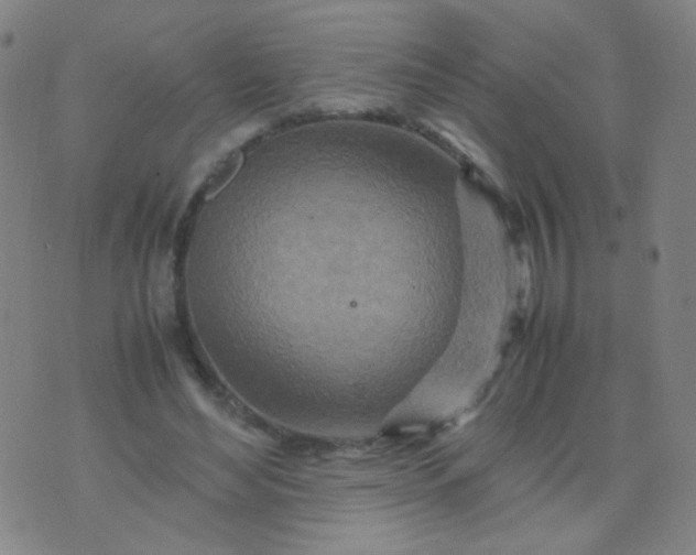 X0000070430492200606231921