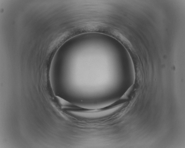 X0000070430493200606231921