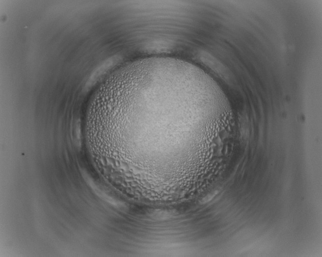 X0000070430494200606231921