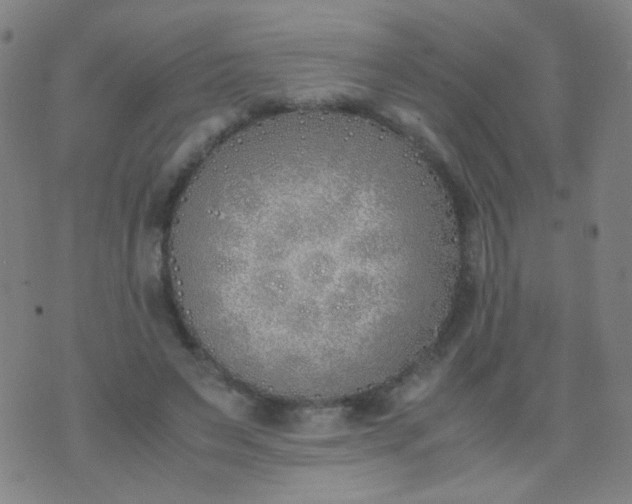 X0000070430495200606231921