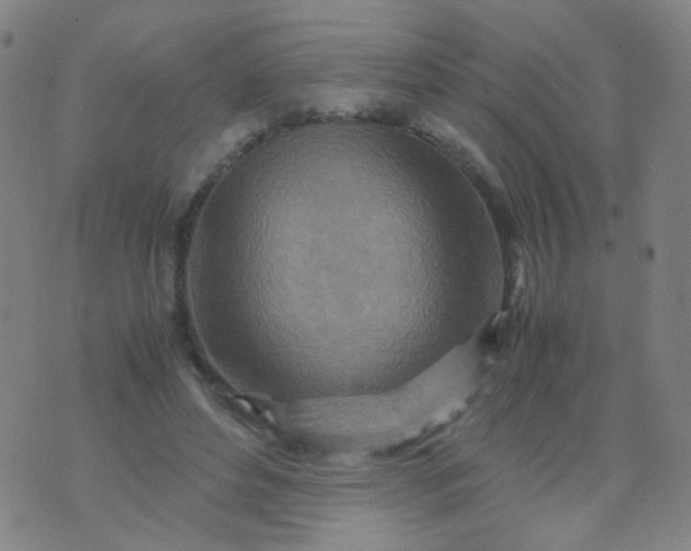 X0000070430496200606231921