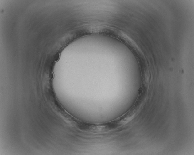 X0000070430497200606231921