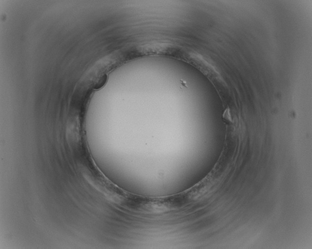 X0000070430498200606231921