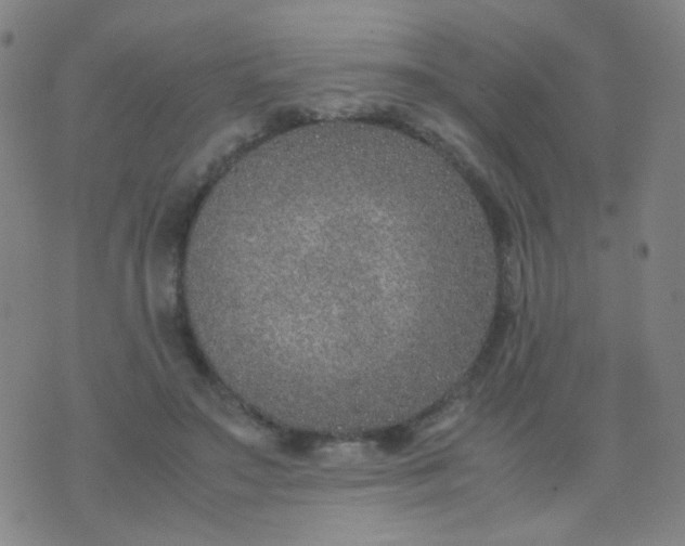 X0000070430499200606231921