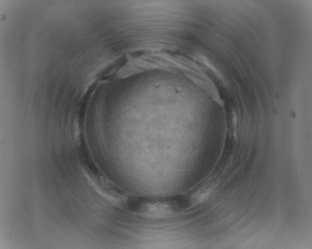 X0000070430500200606231921