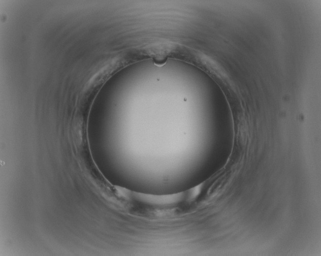 X0000070430501200606231921