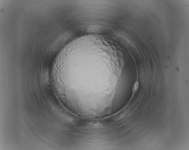 X0000070430502200606231921