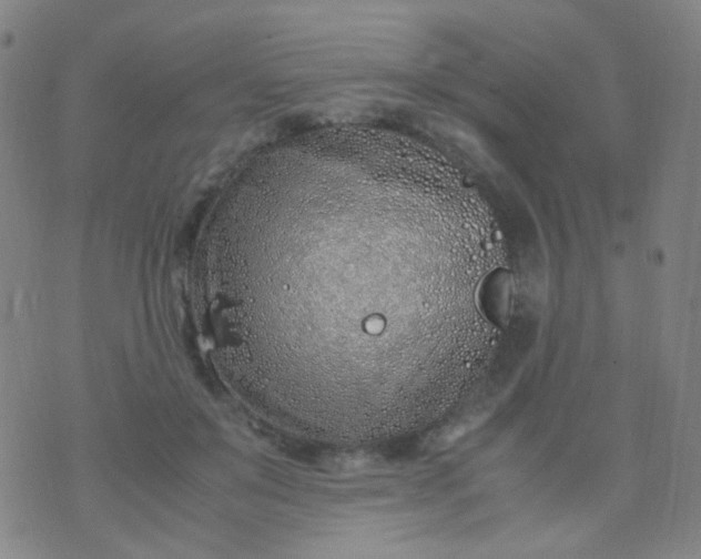 X0000070430503200606231921