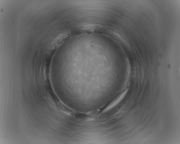 X0000070430504200606231921