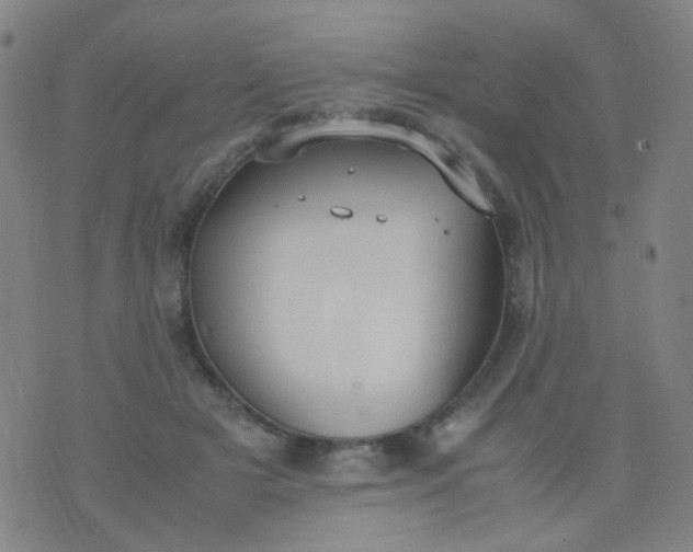 X0000070430505200606231921