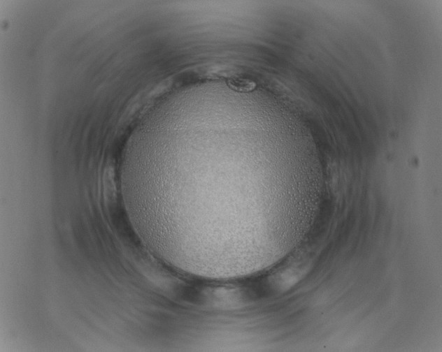 X0000070430506200606231921