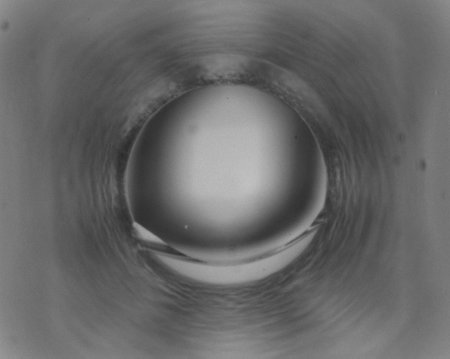 X0000070430508200606231921